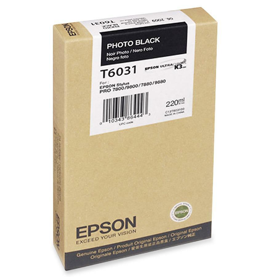 Epson Original Ink Cartridge T603100