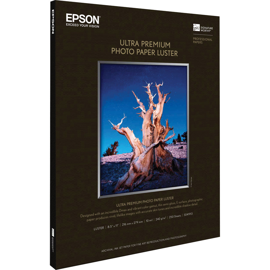 Epson Premium Photo Paper S041913