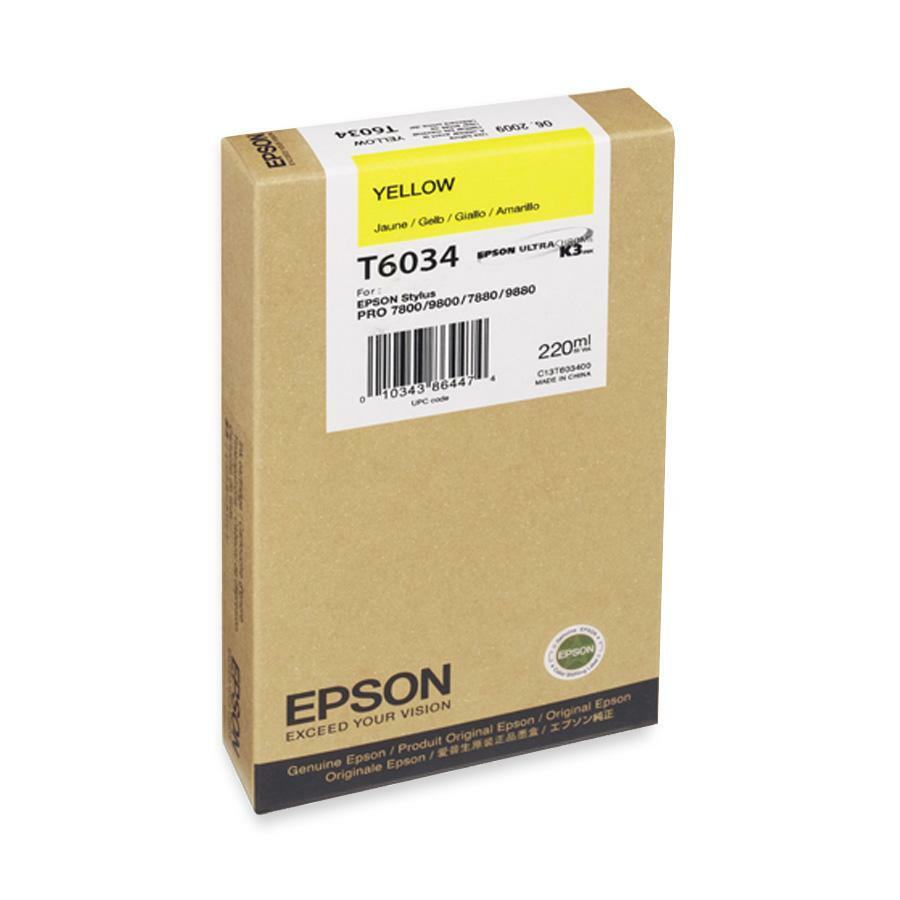 Epson Original Ink Cartridge T603400