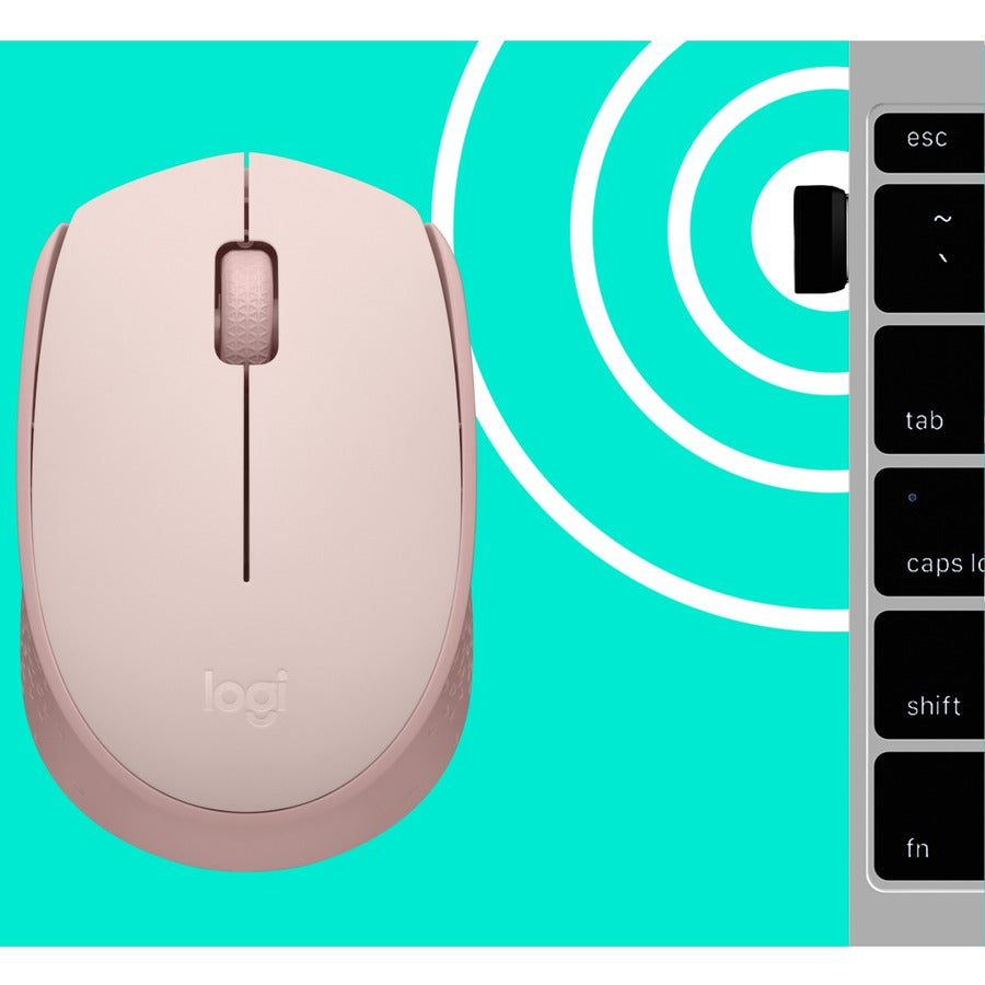 Souris Logitech M170 910-006862