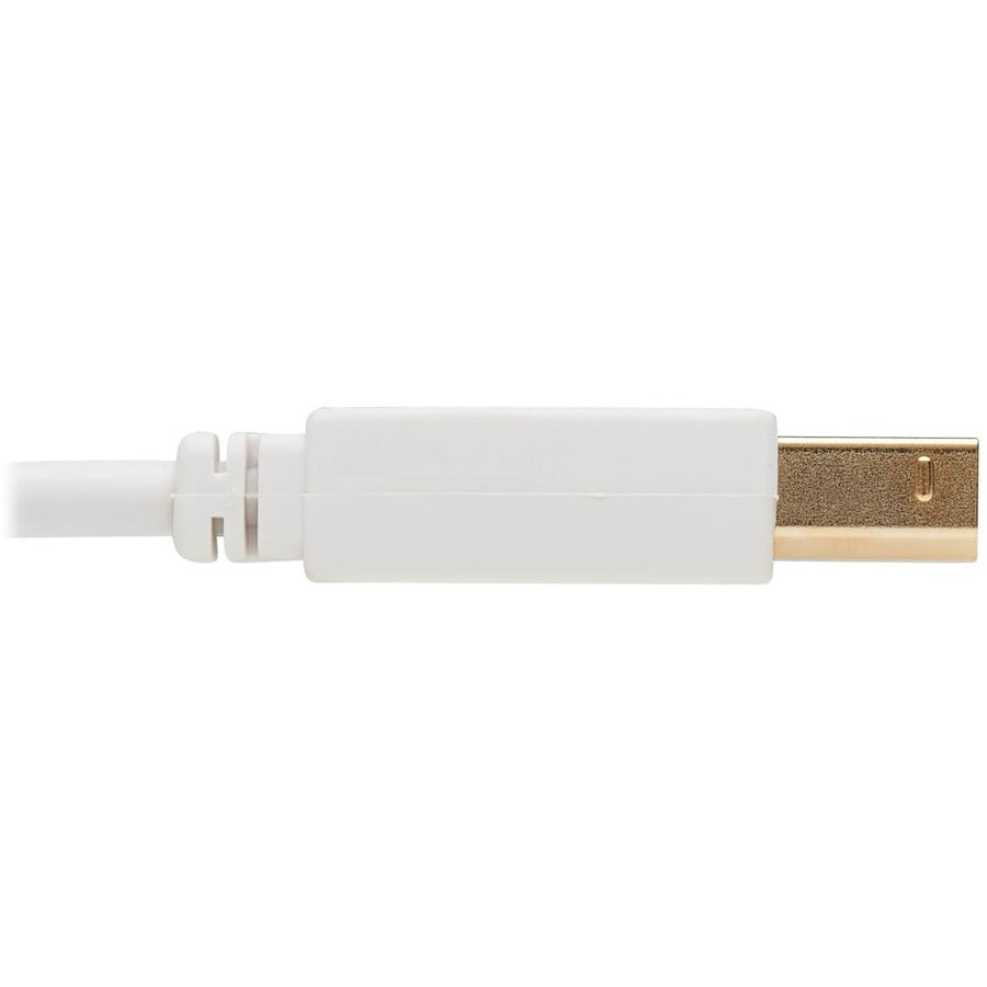 Câble antibactérien Tripp Lite Safe-IT USB-A vers USB-B (M/M), USB 2.0, blanc, 10 pi U022AB-010-WH