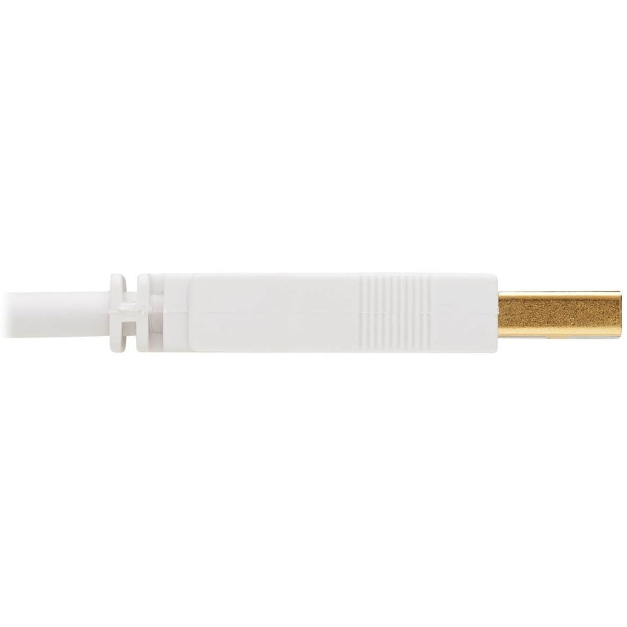 Câble antibactérien Tripp Lite Safe-IT USB-A vers USB-B (M/M), USB 2.0, blanc, 10 pi U022AB-010-WH