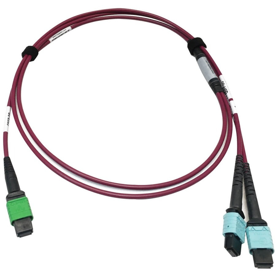 Tripp Lite by Eaton N846D-03M-16DMG 400G Multimode 50/125 OM4 Fiber Optic Cable, Magenta, 3 m N846D-03M-16DMG