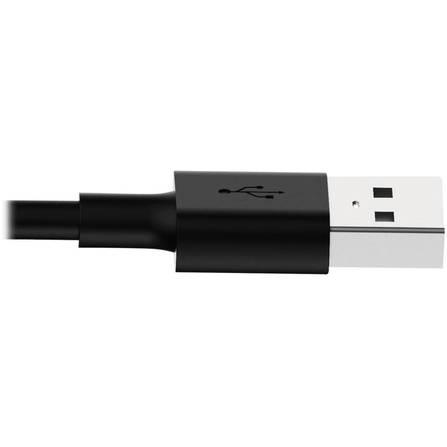 Câble de charge USB/Sync Lightning Tripp Lite 10 pouces pour Apple Iphone / Ipad noir 10 "paquet de 10 10pc M100-10N-BK-10