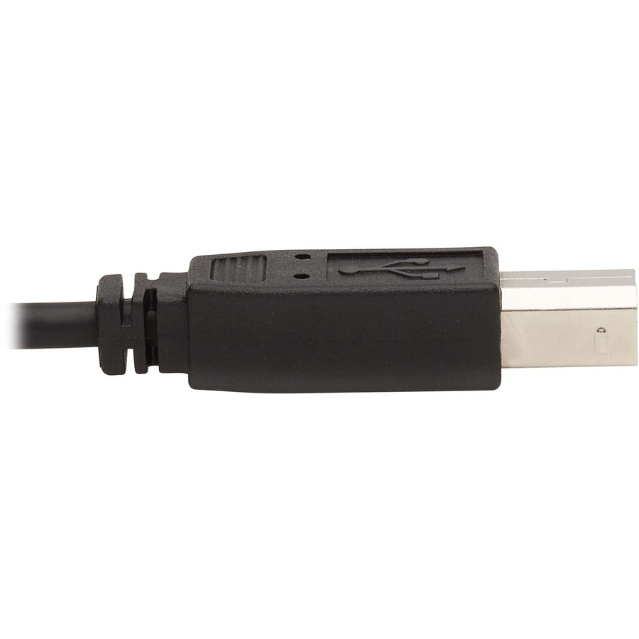 Câble KVM Tripp Lite par Eaton P783-010