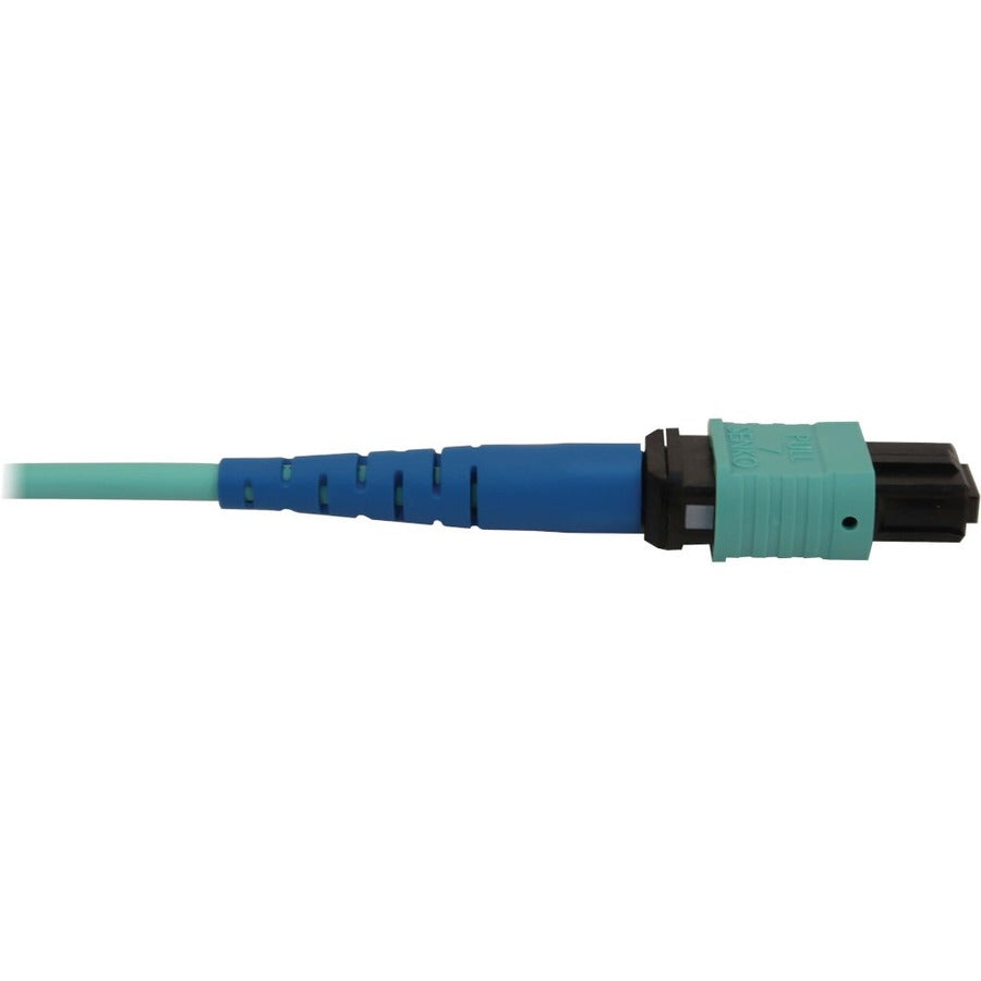 Tripp Lite by Eaton N846B-25M-24-P Fiber Optic Network Cable N846B-25M-24-P