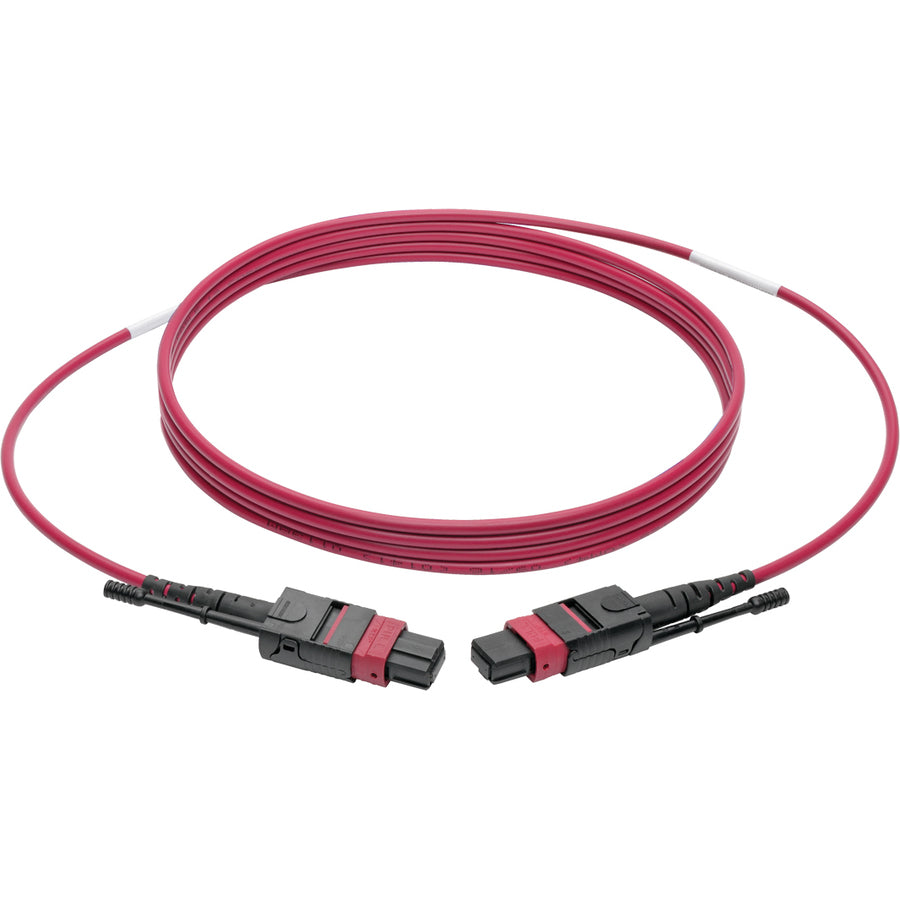 Tripp Lite by Eaton N845-05M-12-MG MTP/MPO Multimode Patch Cable, Magenta, 5 m N845-05M-12-MG