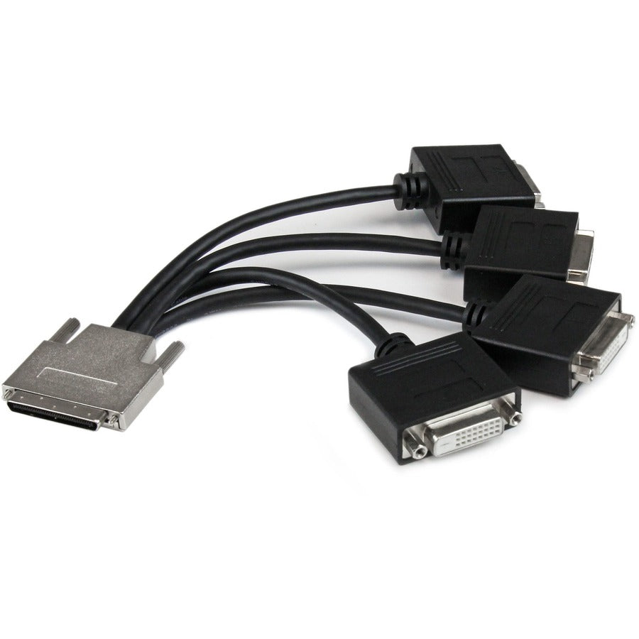 StarTech.com Câble répartiteur VHDCI vers Quad DVI - VHDCI (M) vers 4x DVI-D (F) VHDCI24DVI