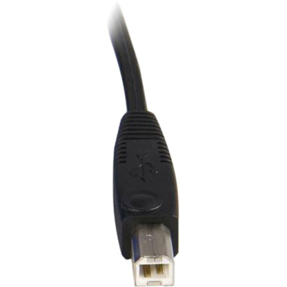 StarTech.com 10 ft 2-in-1 Universal USB KVM Cable - Video / USB cable - HD-15, 4 pin USB Type B (M) - 4 pin USB Type A, HD-15 - 10 SVUSB2N110