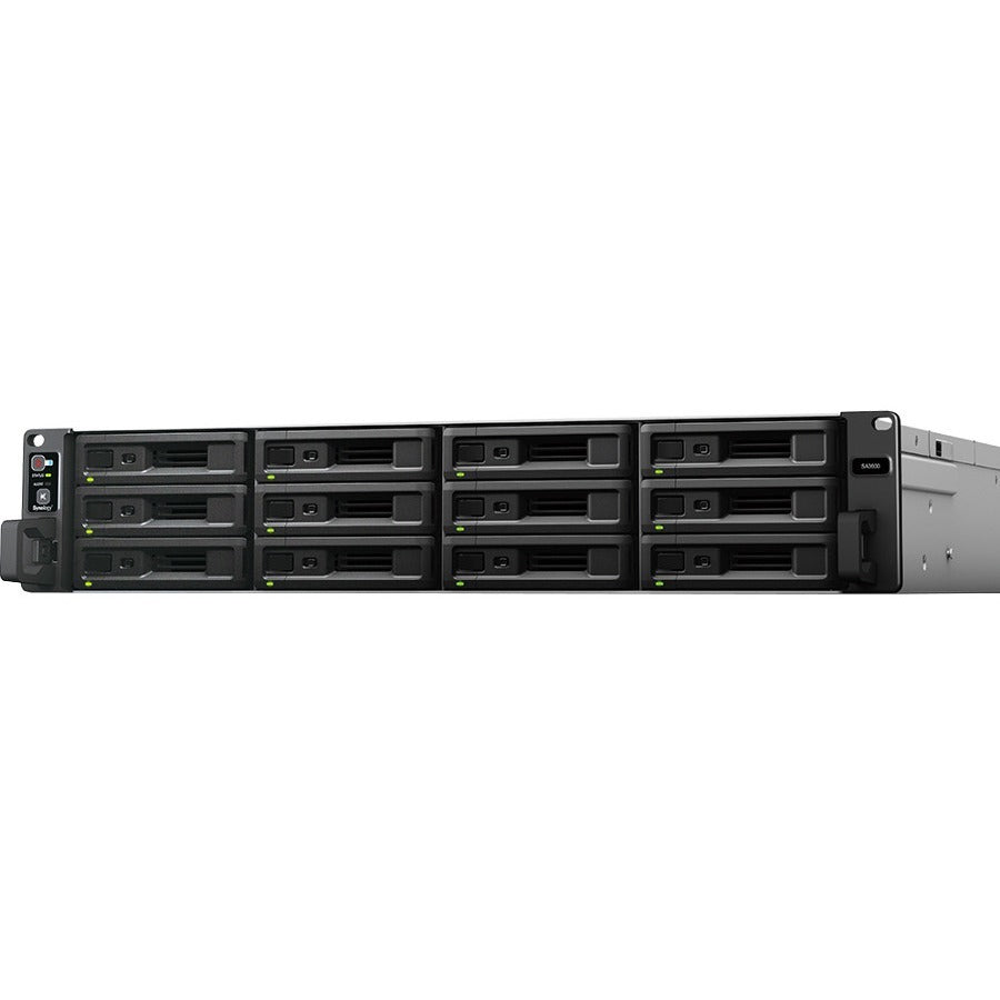 Synology SA3600 SAN/NAS Storage System SA3600