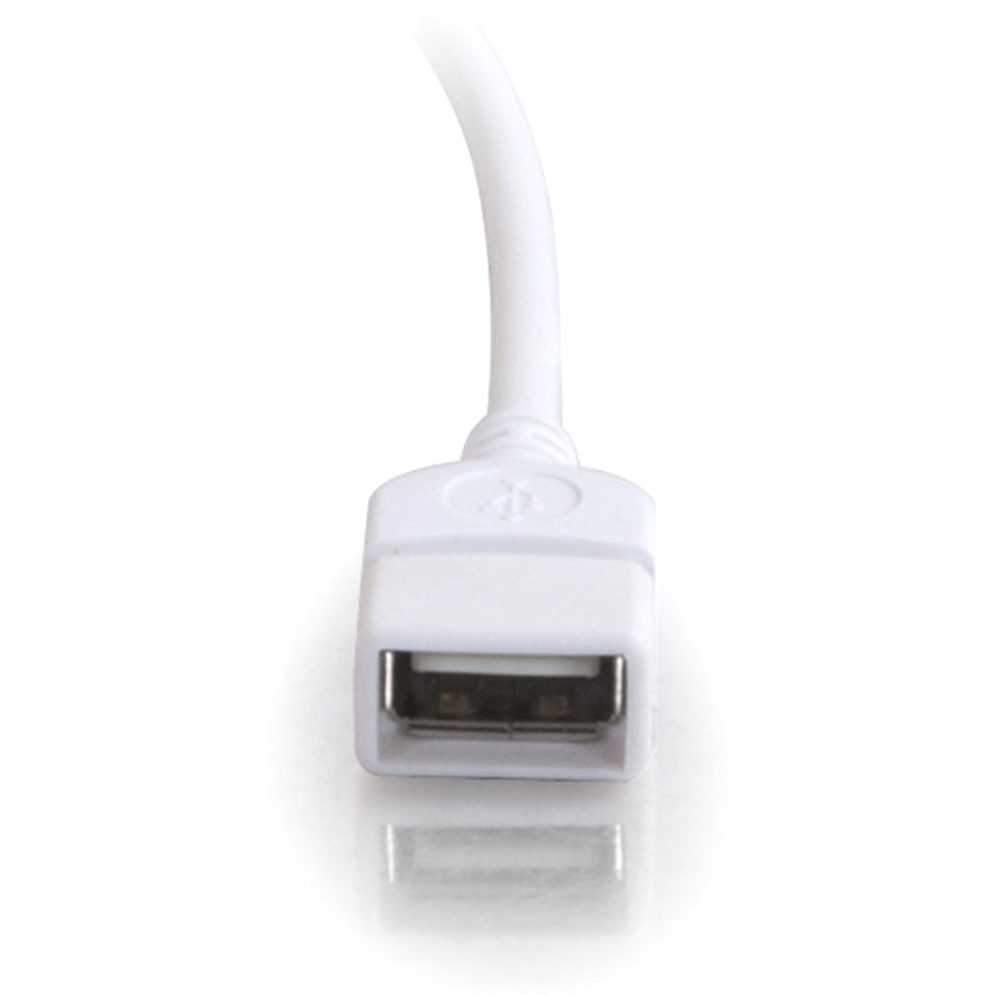 Câble d'extension USB C2G 19018