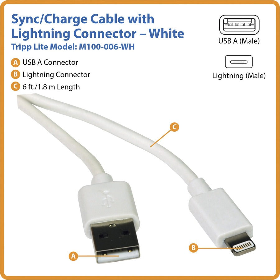 Tripp Lite 6ft Lightning USB/Sync Charge Cable for Apple Iphone / Ipad White 6' M100-006-WH