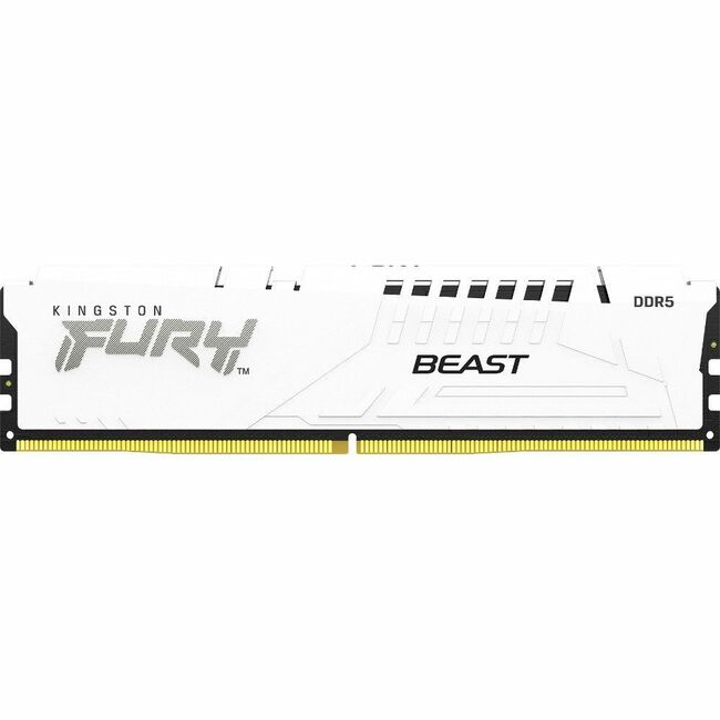 Kingston FURY Beast 16GB DDR5 SDRAM Memory Module KF556C40BW-16