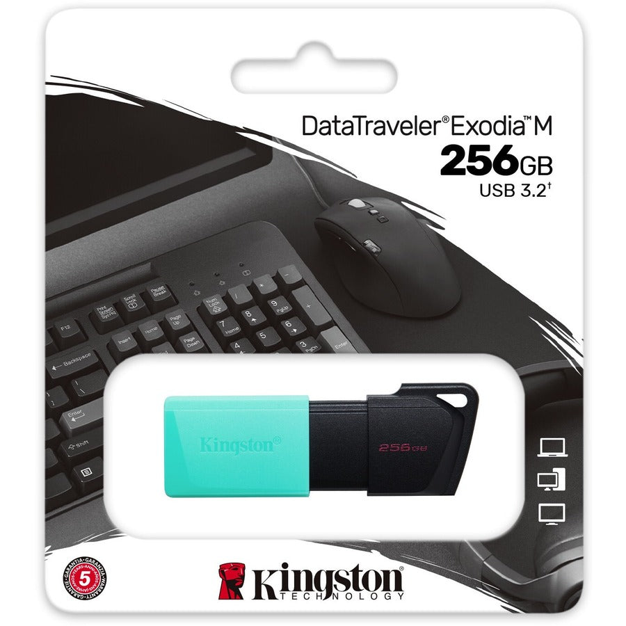 Clé USB Kingston DataTraveler Exodia M DTXM/256 Go