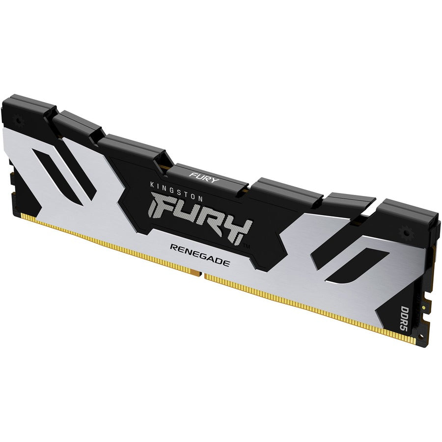 Module de mémoire SDRAM DDR5 Kingston FURY Renegade 16 Go KF560C32RS-16