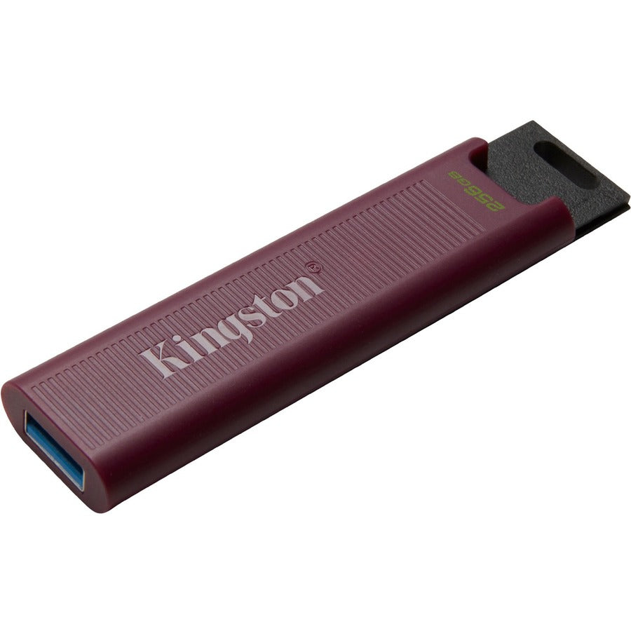 Clé USB Kingston DataTraveler Max USB 3.2 Gen 2 série DTMAXA/256 Go