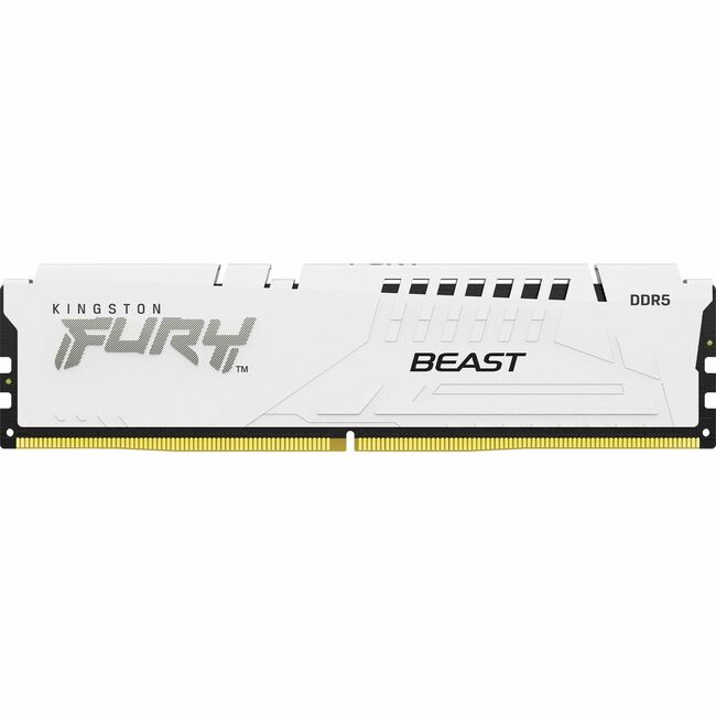 Kingston FURY Beast 16GB DDR5 SDRAM Memory Module KF560C36BWE-16