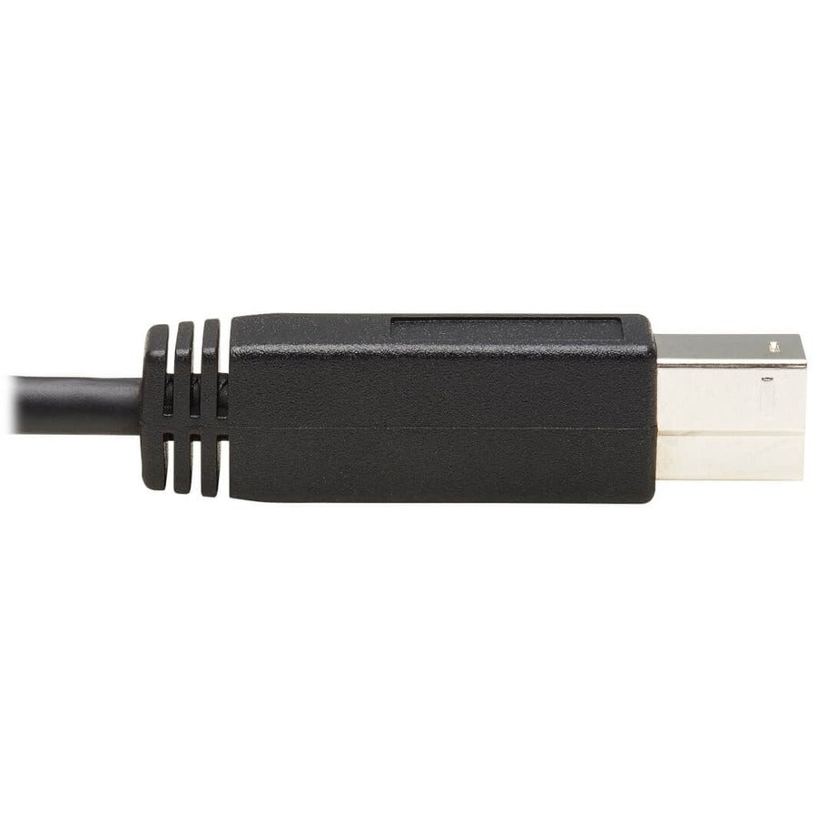 Câble Tripp Lite by Eaton U422-20N-G2 USB-C 3.1 Gen 2 vers USB 3.0 Type-B (M/M), 20 po U422-20N-G2