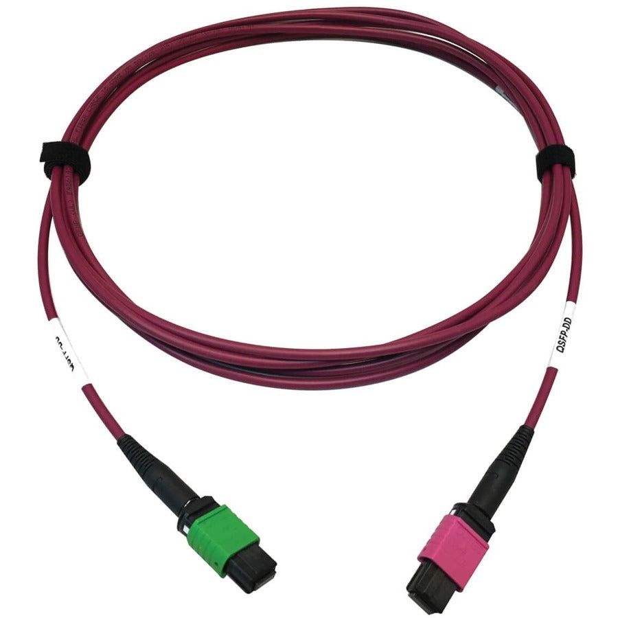 Tripp Lite by Eaton N846D-03M-16BMG 400G Multimode 50/125 OM4 Fiber Optic Cable, Magenta, 3 m N846D-03M-16BMG