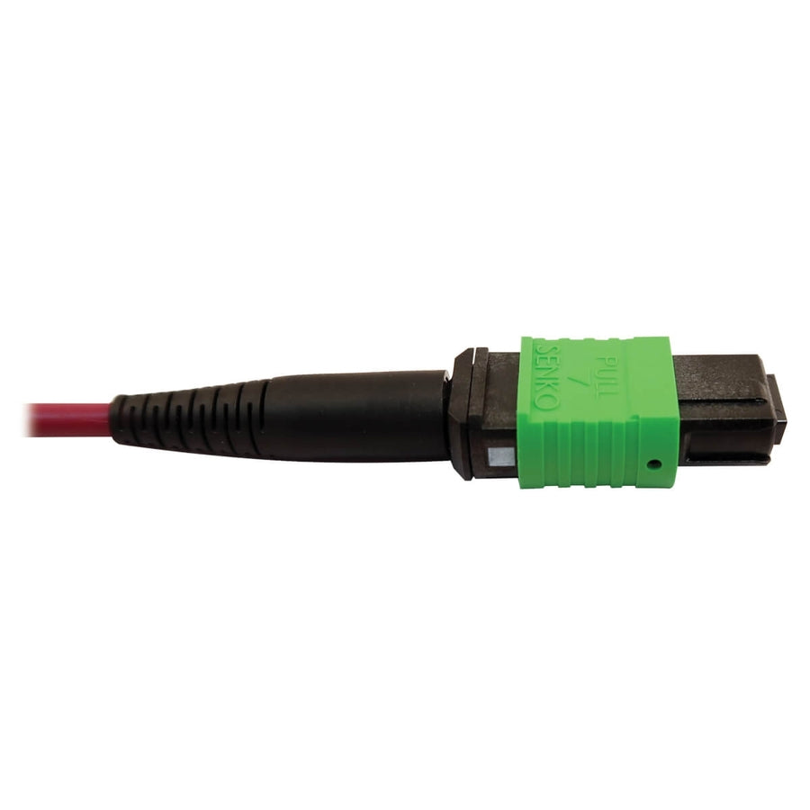 Tripp Lite by Eaton N846D-03M-16BMG 400G Multimode 50/125 OM4 Fiber Optic Cable, Magenta, 3 m N846D-03M-16BMG