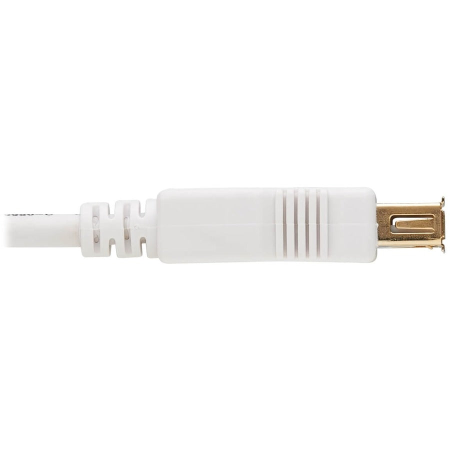 Câble d'extension antibactérien Tripp Lite Safe-IT USB-A (M/F), USB 2.0, blanc, 3 pieds U024AB-003-WH