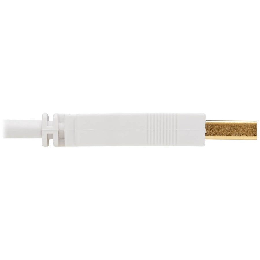 Câble d'extension antibactérien Tripp Lite Safe-IT USB-A (M/F), USB 2.0, blanc, 3 pieds U024AB-003-WH