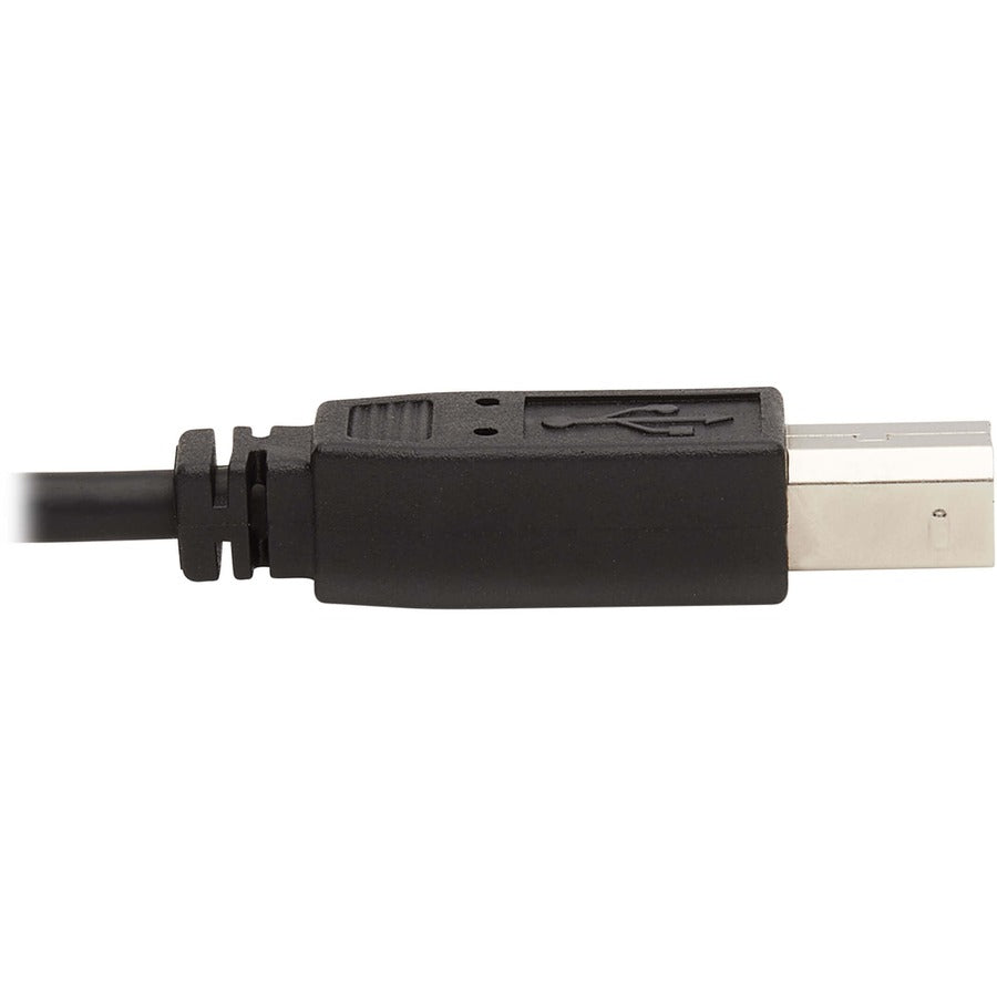 Tripp Lite by Eaton P784-006-DV KVM Cable P784-006-DV