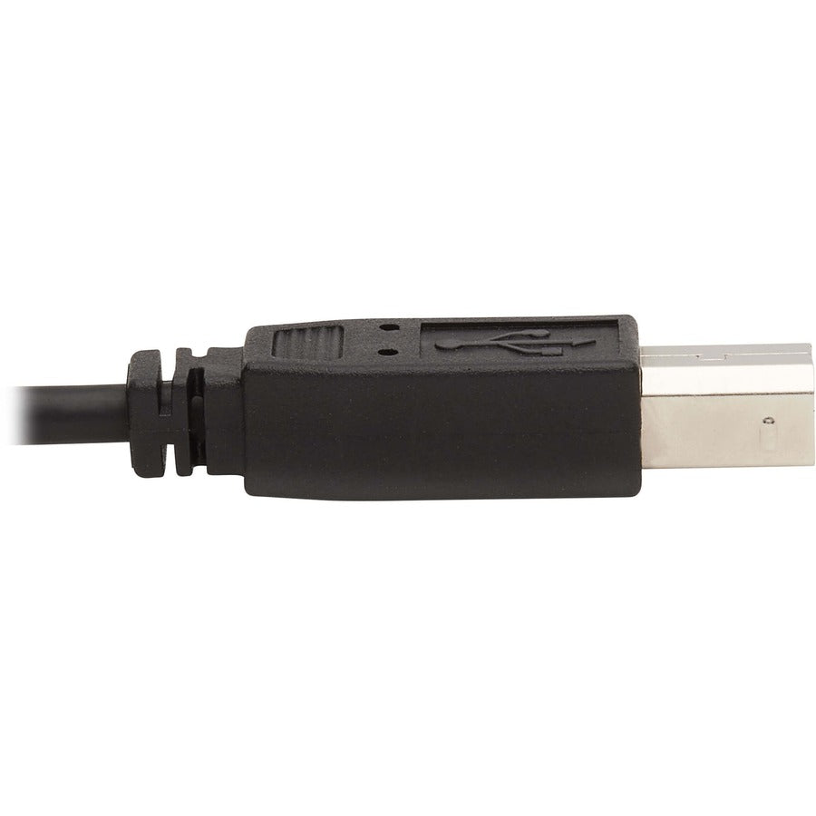 Tripp Lite by Eaton P783-010-DPU KVM Cable P783-010-DPU