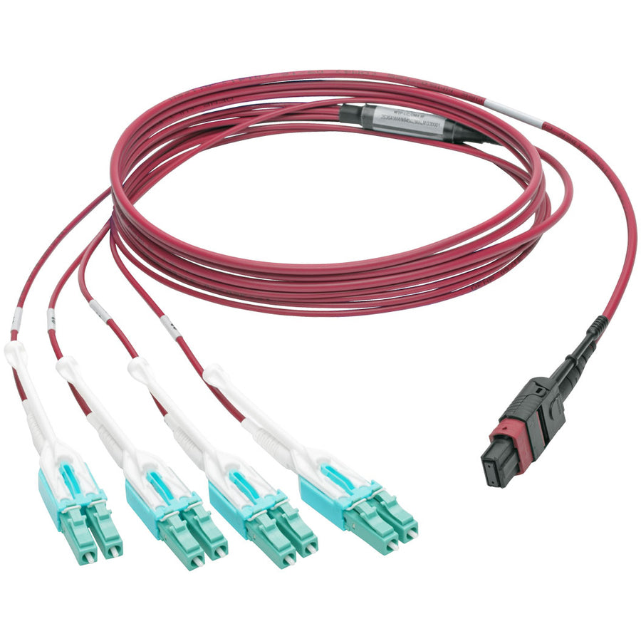 Tripp Lite by Eaton N845-01M-8L-MG MTP/MPO to 8xLC Fan-Out Patch Cable, Magenta, 1 m N845-01M-8L-MG