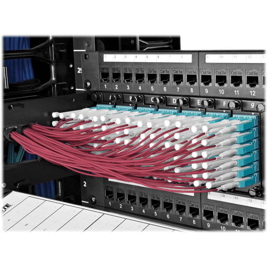 Tripp Lite by Eaton N845-05M-8L-MG MTP/MPO to 8xLC Fan-Out Patch Cable, Magenta, 5 m N845-05M-8L-MG