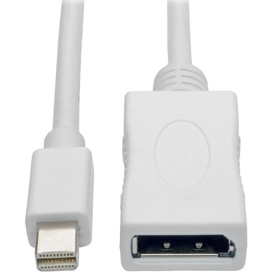 Tripp Lite by Eaton Keyspan P139-006-DP-V2B DisplayPort/Mini DisplayPort Audio/Video Cable P139-006-DP-V2B