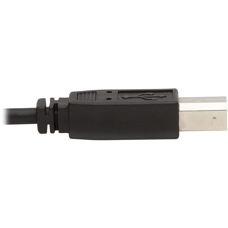 Tripp Lite by Eaton KVM Cable P783-006-DPU