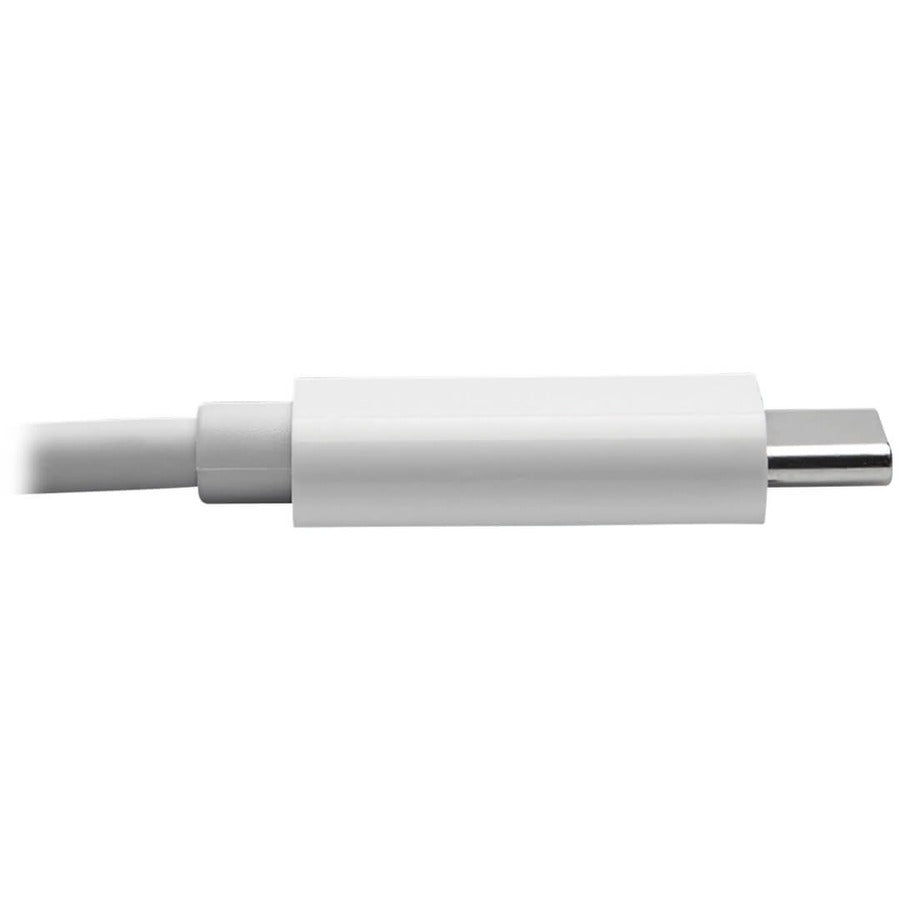 Tripp Lite by Eaton U444-010-DE Câble adaptateur USB-C vers DVI (M/M), blanc, 10 pi (3 m) U444-010-DE