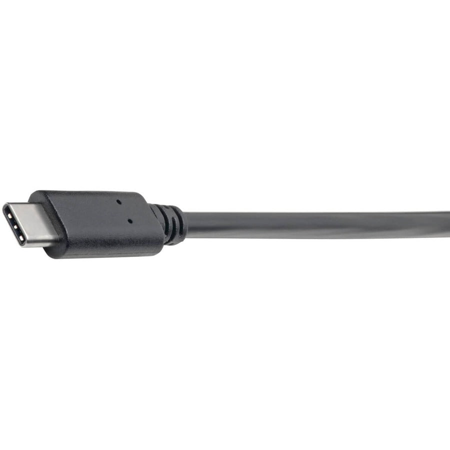 Câble de transfert de données USB Tripp Lite par Eaton U428-06N-F U428-06N-F