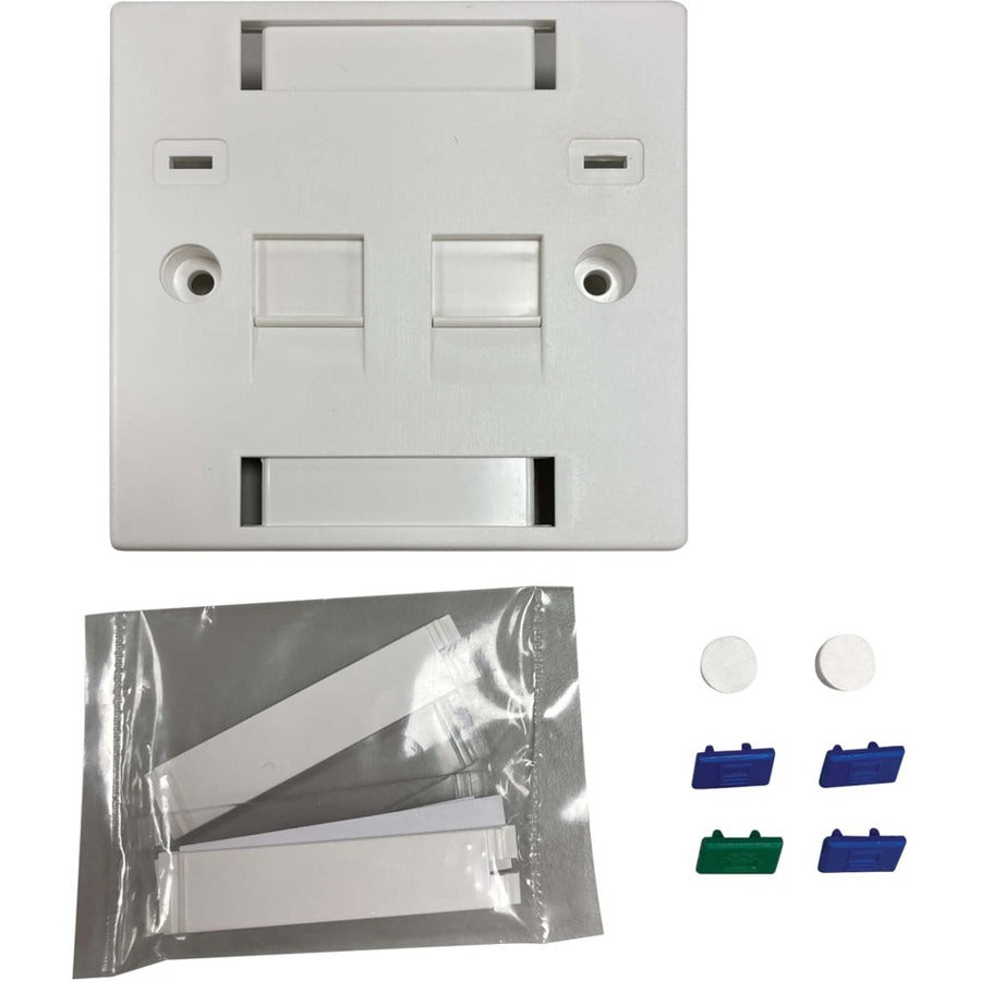 Tripp Lite by Eaton Plaque murale Keystone à 2 ports de style britannique, module à obturateur non chargé, onglets d'icônes, blanc N042U-W02-ST