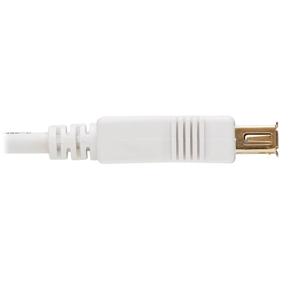 Tripp Lite Safe-IT USB-A Antibacterial Extension Cable (M/F), USB 2.0, White, 6 ft. U024AB-006-WH