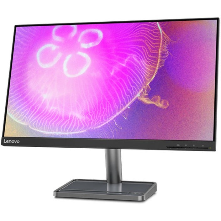 Moniteur LCD Lenovo L24q-35 24" WQHD - 16:9 66D1GCC1US