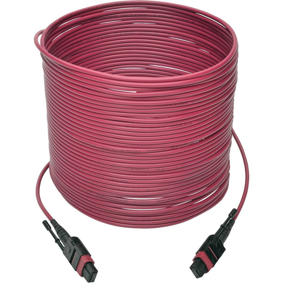 Tripp Lite by Eaton N845-15M-12-MG MTP/MPO Multimode Patch Cable, Magenta, 15 m N845-15M-12-MG