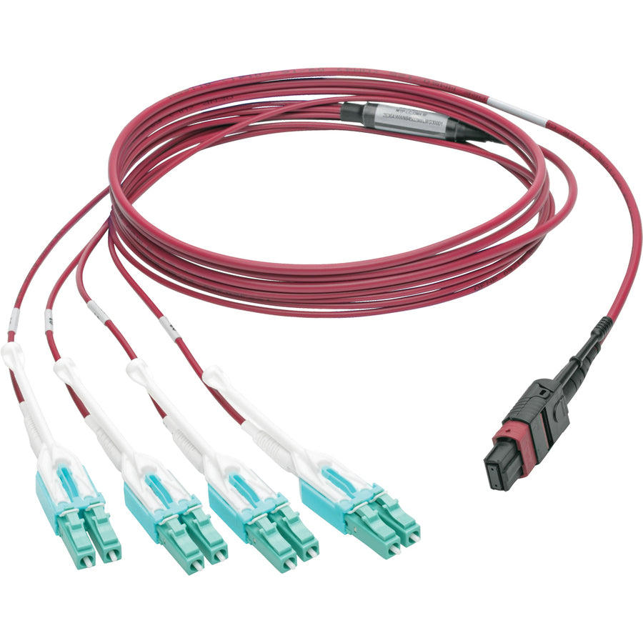 Tripp Lite by Eaton N845-02M-8L-MG MTP/MPO to 8xLC Fan-Out Patch Cable, Magenta, 2 m N845-02M-8L-MG