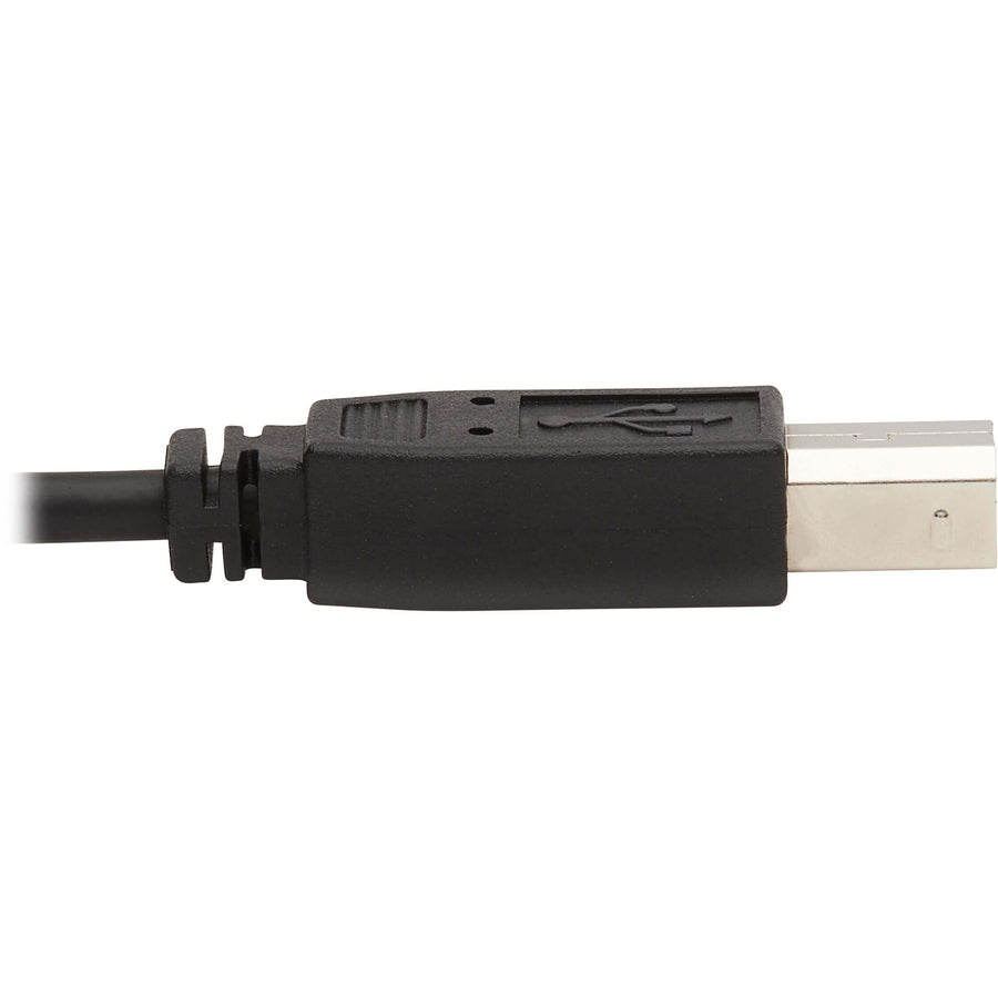 Tripp Lite by Eaton P784-006 DVI KVM Cable Kit, 3 in 1 (M/M), 6 ft P784-006