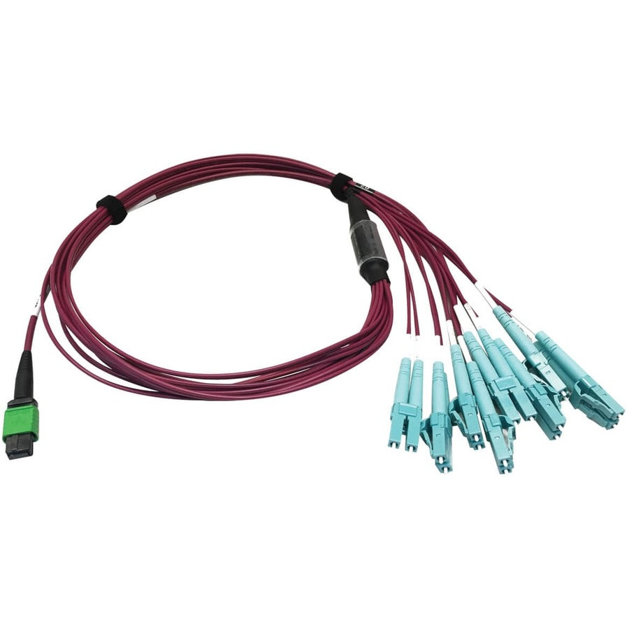 Tripp Lite by Eaton N846D-01M-16EMG Fiber Optic Patch Network Cable N846D-01M-16EMG