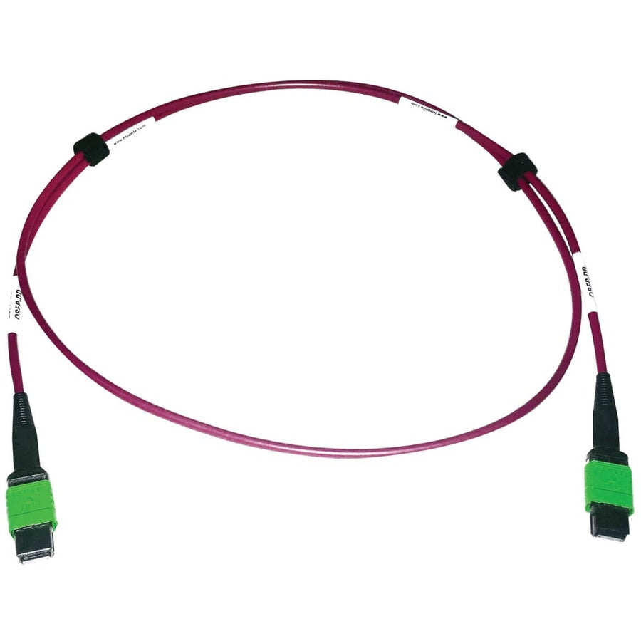 Tripp Lite by Eaton N846D-01M-16AMG Fiber Optic Duplex Patch Network Cable N846D-01M-16AMG