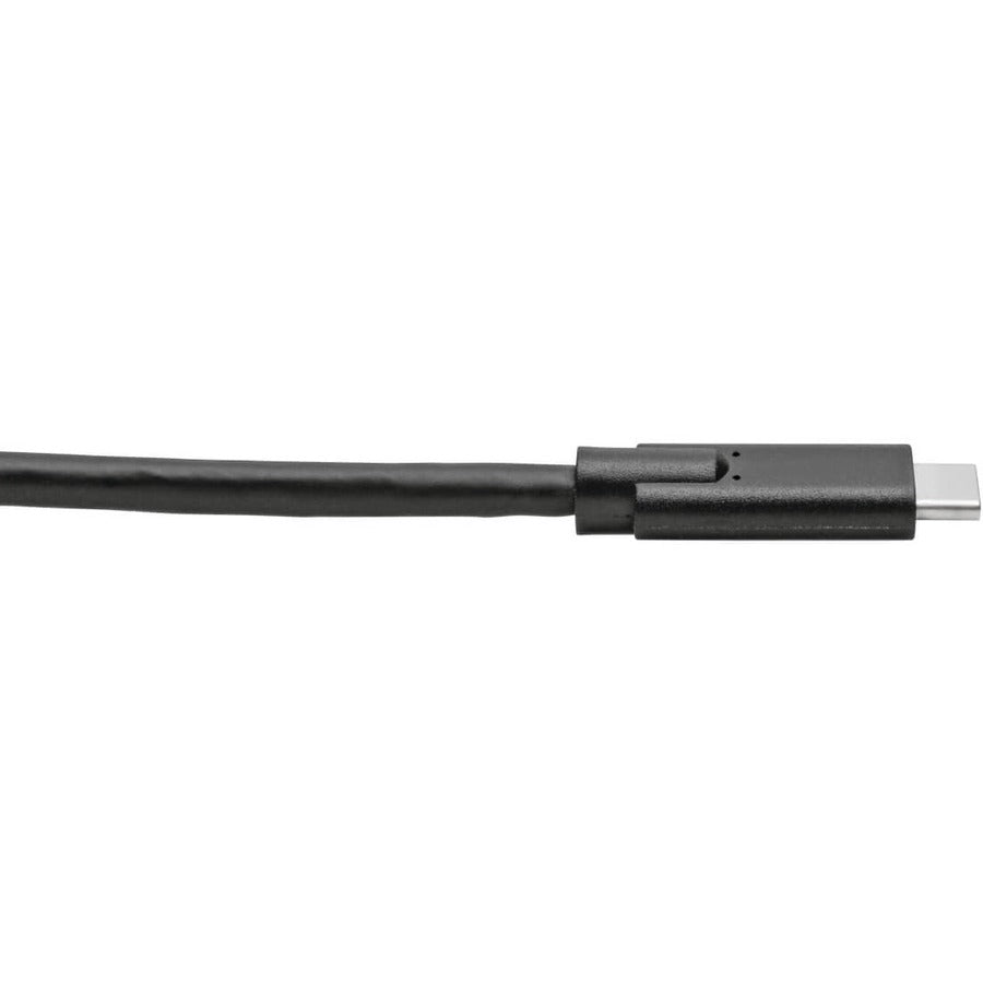 Tripp Lite by Eaton U420-010 USB Type-C to USB Type-C Cable, M/M, 10 ft. U420-010