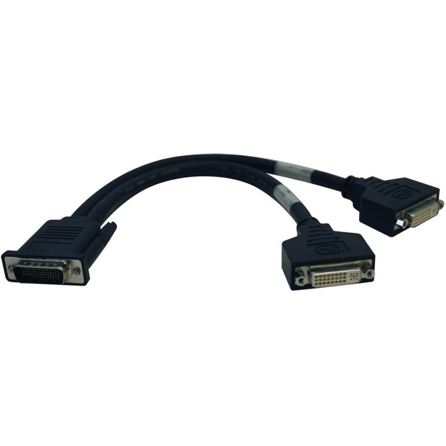 Tripp Lite DMS-59 to 2x DVI-I F Splitter Cable P576-001