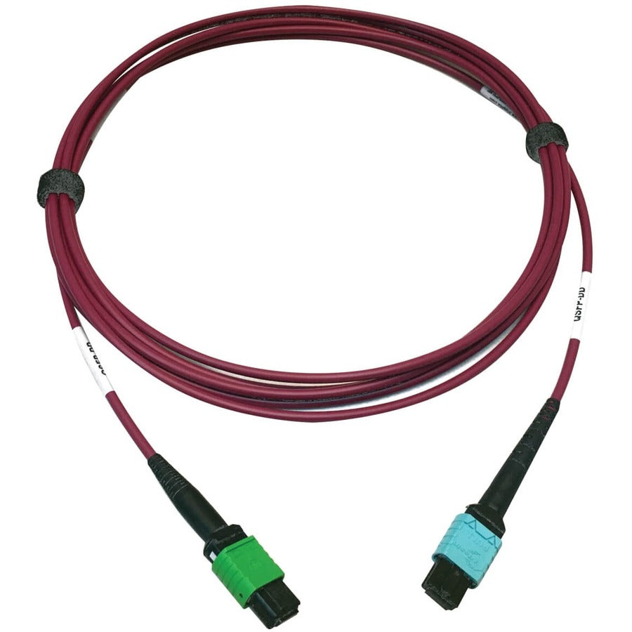 Câble fibre optique Tripp Lite by Eaton N846D-03M-16CMG 400G multimode 50/125 OM4, magenta, 3 m N846D-03M-16CMG