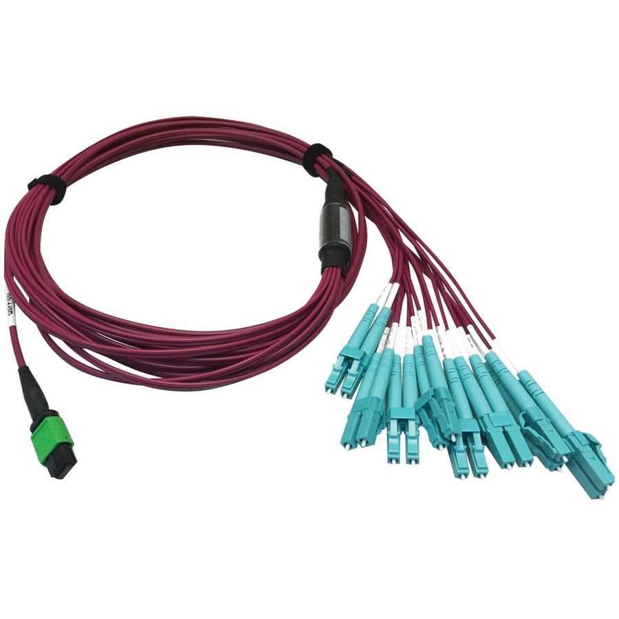 Tripp Lite by Eaton N846D-03M-16EMG 400G Multimode 50/125 OM4 Fiber Optic Cable, Magenta, 3 m N846D-03M-16EMG