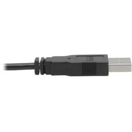 Tripp Lite by Eaton P760-010-DVI KVM Cable P760-010-DVI