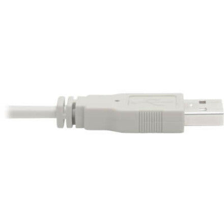 Tripp Lite by Eaton P760-010-DVI KVM Cable P760-010-DVI