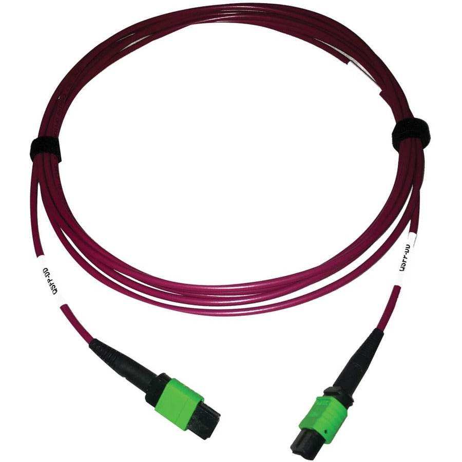 Câble fibre optique Tripp Lite by Eaton N846D-03M-16AMG 400G multimode 50/125 OM4, magenta, 3 m N846D-03M-16AMG