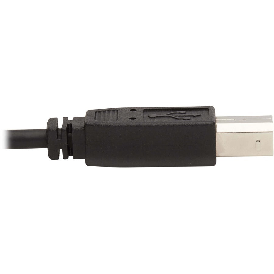 Tripp Lite by Eaton KVM Cable P783-006-DP